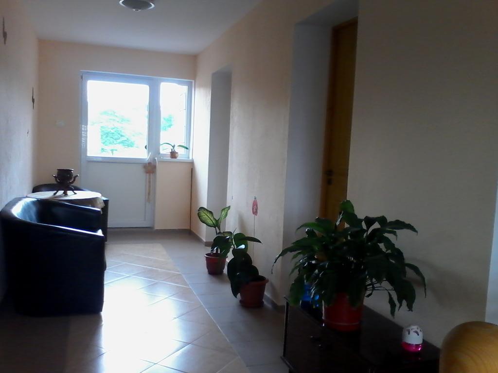 Casa Teo Hotell Ocna Sibiului Rom bilde
